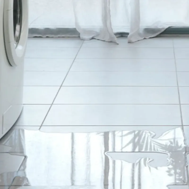 Appliance Leak Cleanup in Delta County, TX