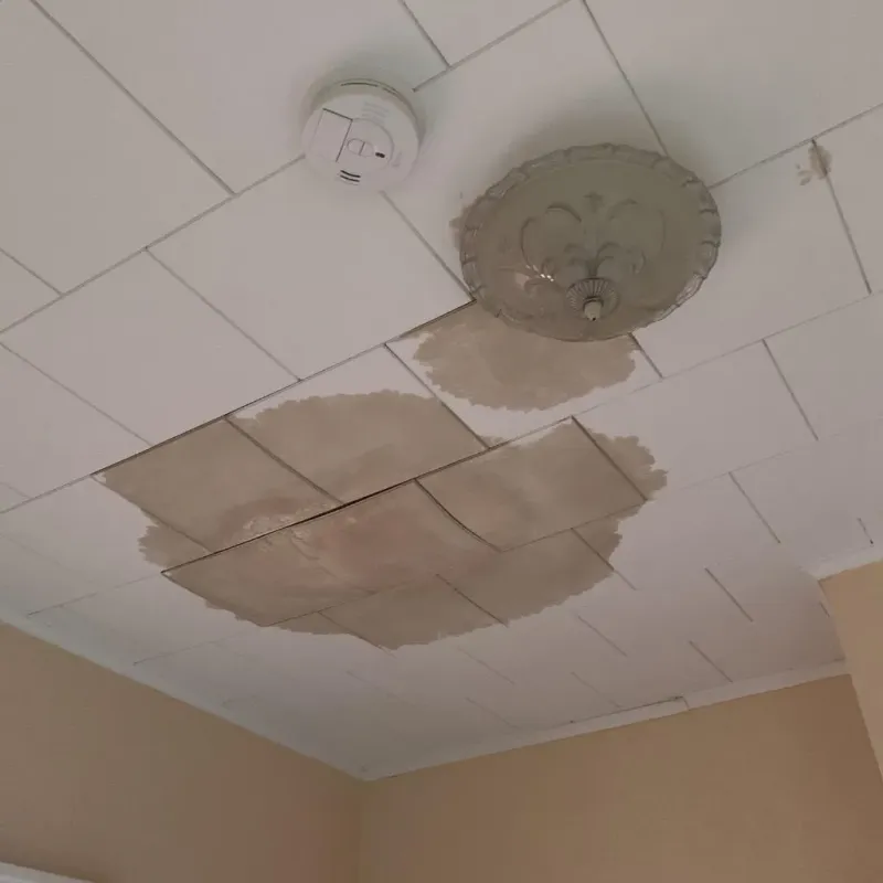 Ceiling Water Damage Repair in Delta County, TX