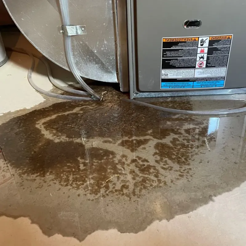 Pipe Burst and Leak Restoration in Delta County, TX