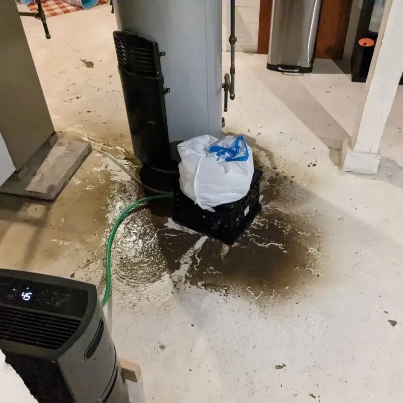Sewage Backup Cleanup Service in Delta County, TX